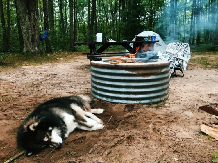 Caryssa R.'s photo of camping with pets at Lake Dubonnet Trail Camp near Empire, MI