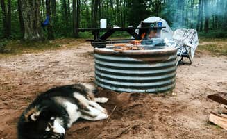 Caryssa R.'s photo of camping with pets at Lake Dubonnet Trail Camp near Traverse City, MI