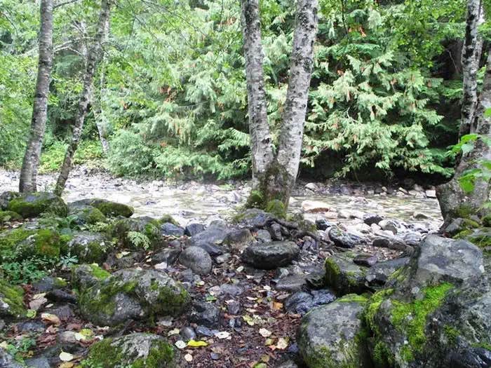 Camper submitted image from Denny Creek Campground - 1