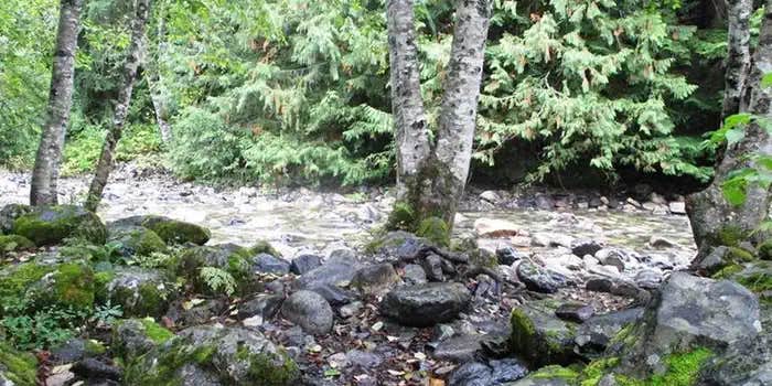 Camper submitted image from Denny Creek Campground