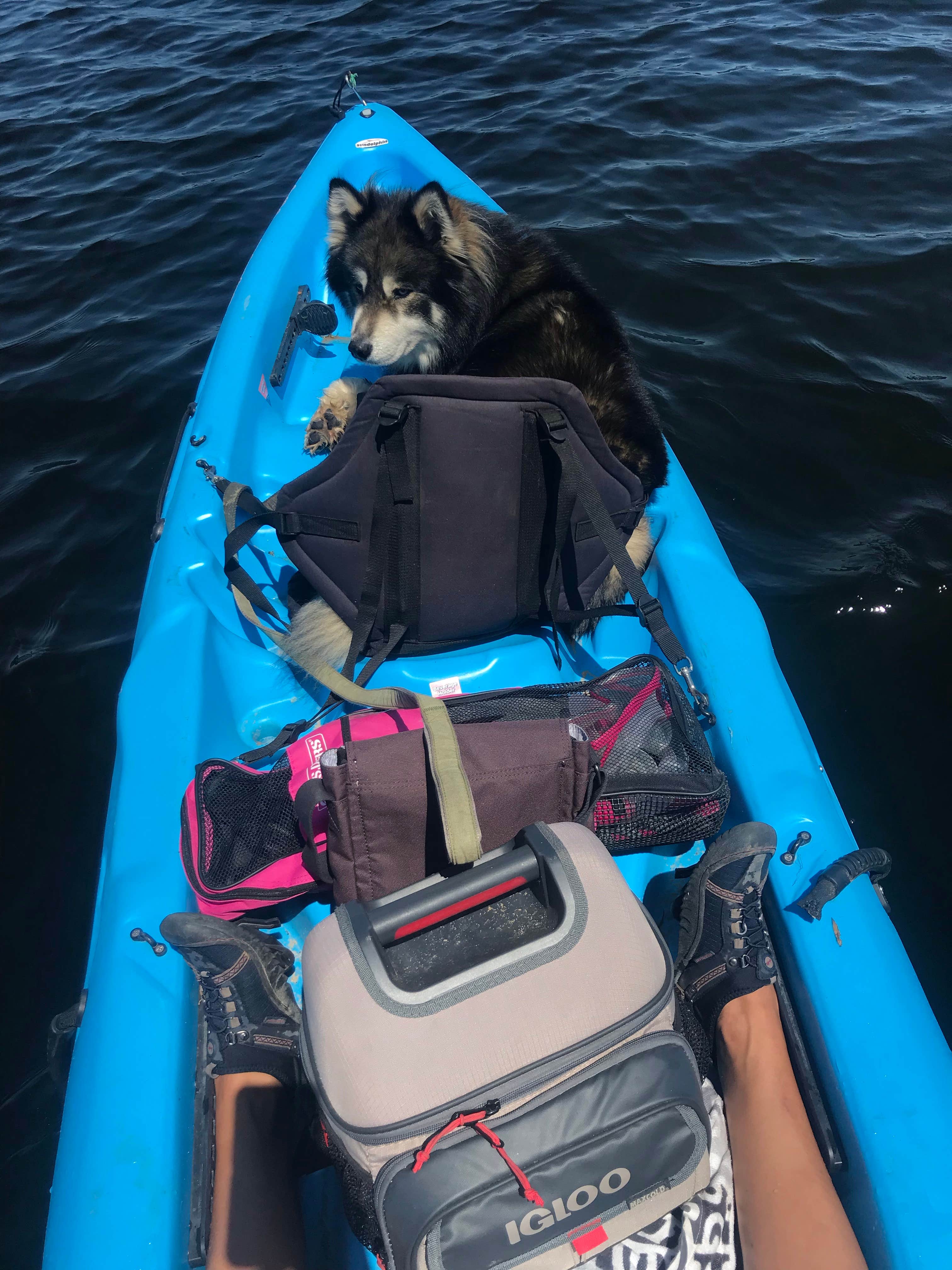 Camper-submitted photo at Lake Dubonnet Trail Camp near Lake Ann, MI