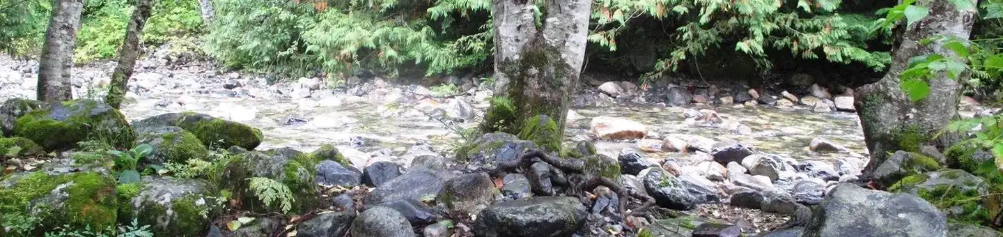 Camper-submitted photo at Denny Creek Campground near Snoqualmie Pass, WA