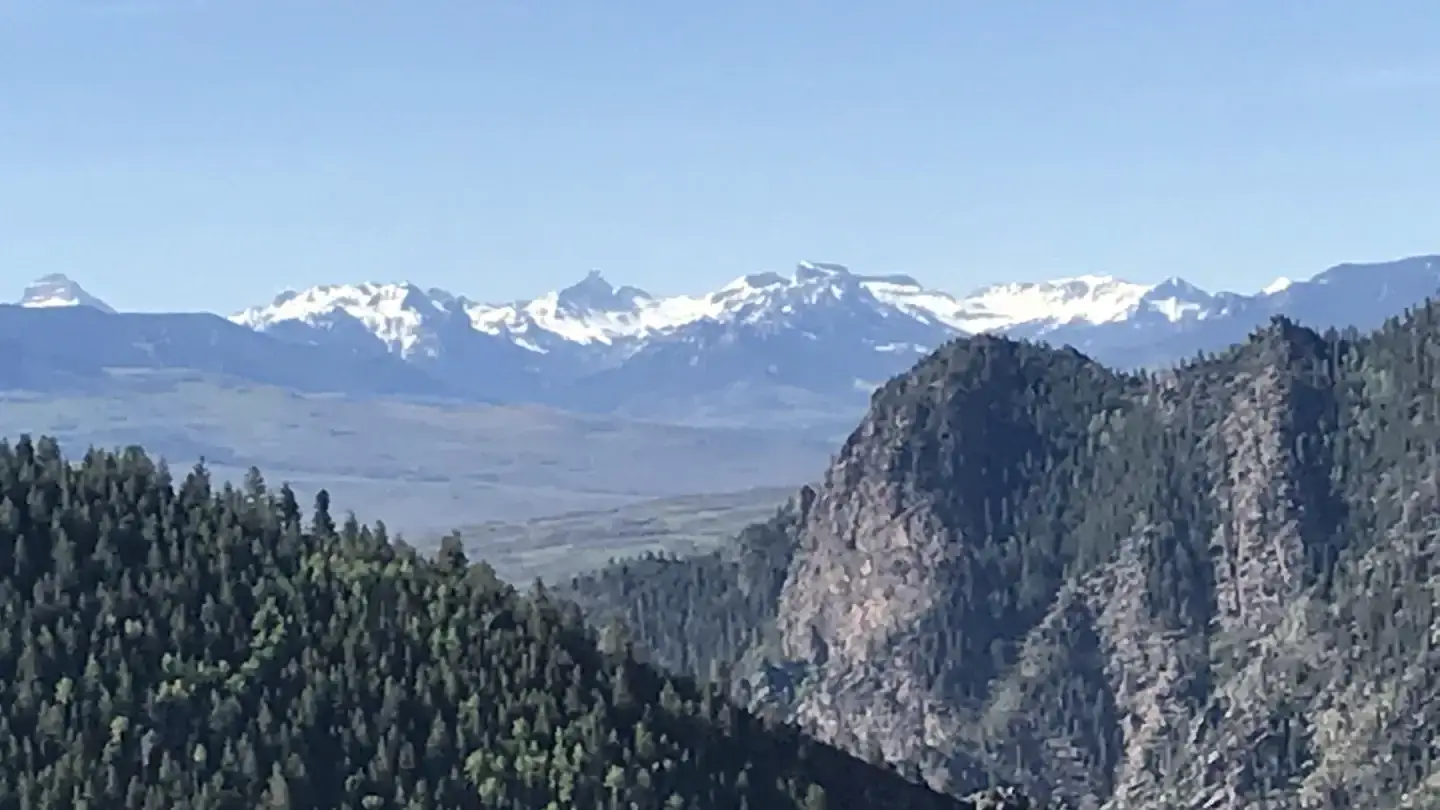 Camping near Mesa RV Resort: Stevens Creek Campground, Gunnison, Colorado