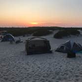 Review photo of Bayside Assateague Campground — Assateague Island National Seashore by M J., August 5, 2019