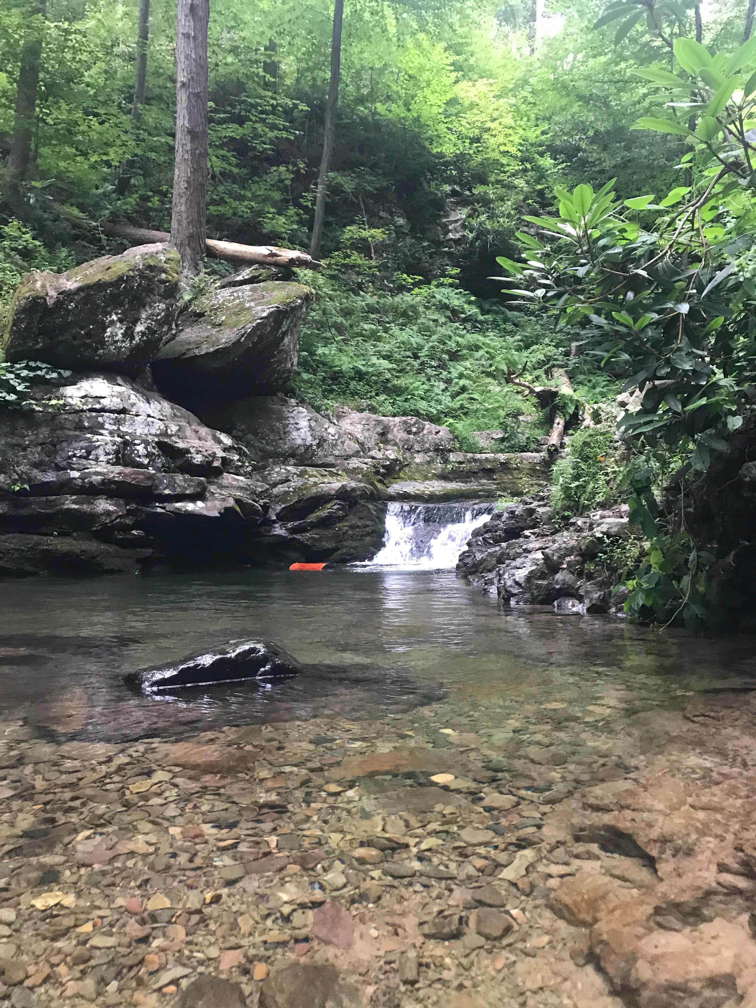 Camper submitted image from Dingmans Campground - Delaware Water Gap NRA - 2