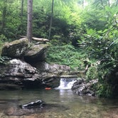 Review photo of Dingmans Campground - Delaware Water Gap NRA by Vika Z., August 5, 2019