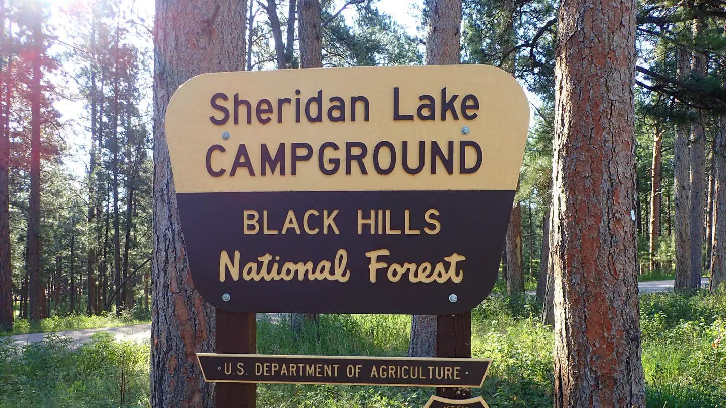 Camper submitted image from Sheridan Lake South Shore Campground - 1