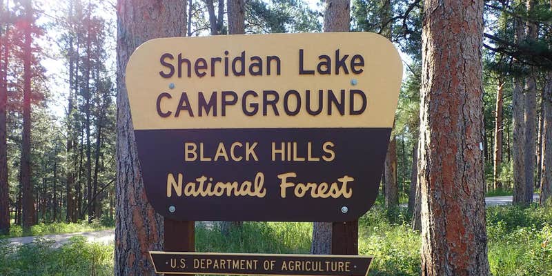 Camper submitted image from Sheridan Lake South Shore Campground