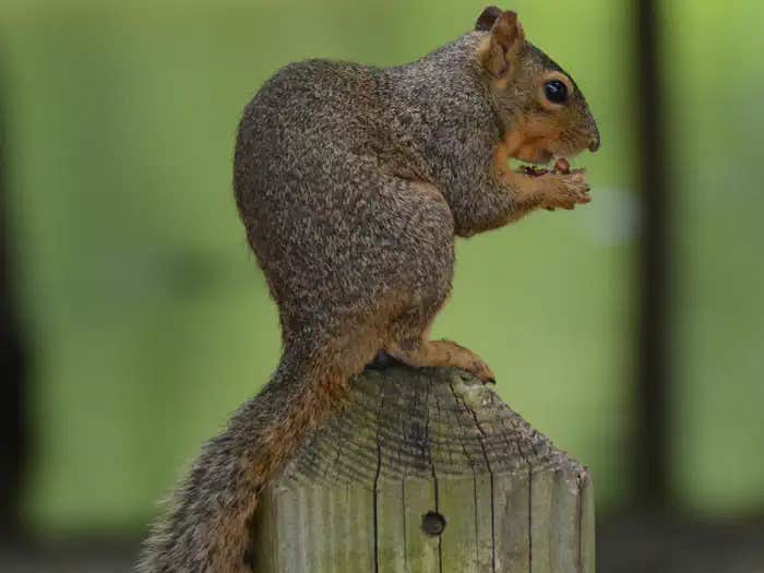 Camper submitted image from Airport Park - Waco Lake - 1