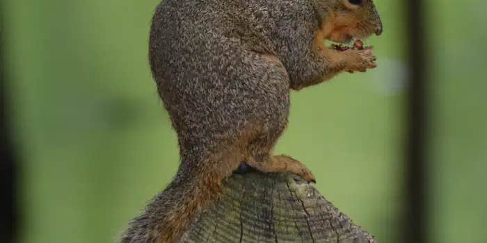 Camper submitted image from Airport Park - Waco Lake