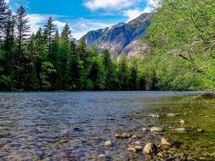 Camper submitted image from Goodell Creek Campground — Ross Lake National Recreation Area - 1