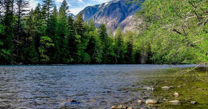 Goodell Creek Campground — Ross Lake National Recreation Area