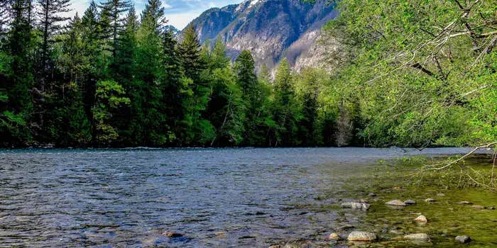 Camper submitted image from Goodell Creek Campground — Ross Lake National Recreation Area