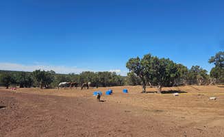 Emma B.'s photo of camping with pets at Mystical Meadows near Apache-Sitgreaves National Forest