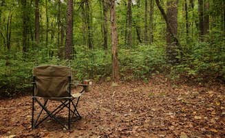 Fred S.'s photo at Gunner Pool Recreation Area near Norfork, AR