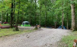 Nate H.'s photo at Harrison Bay State Park Campground near Chattanooga, TN
