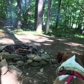 Review photo of Grandfather Campground by Nicole L., August 5, 2019