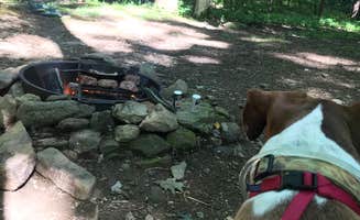 Nicole L.'s photo of camping with pets at Grandfather Campground near Deep Gap, NC