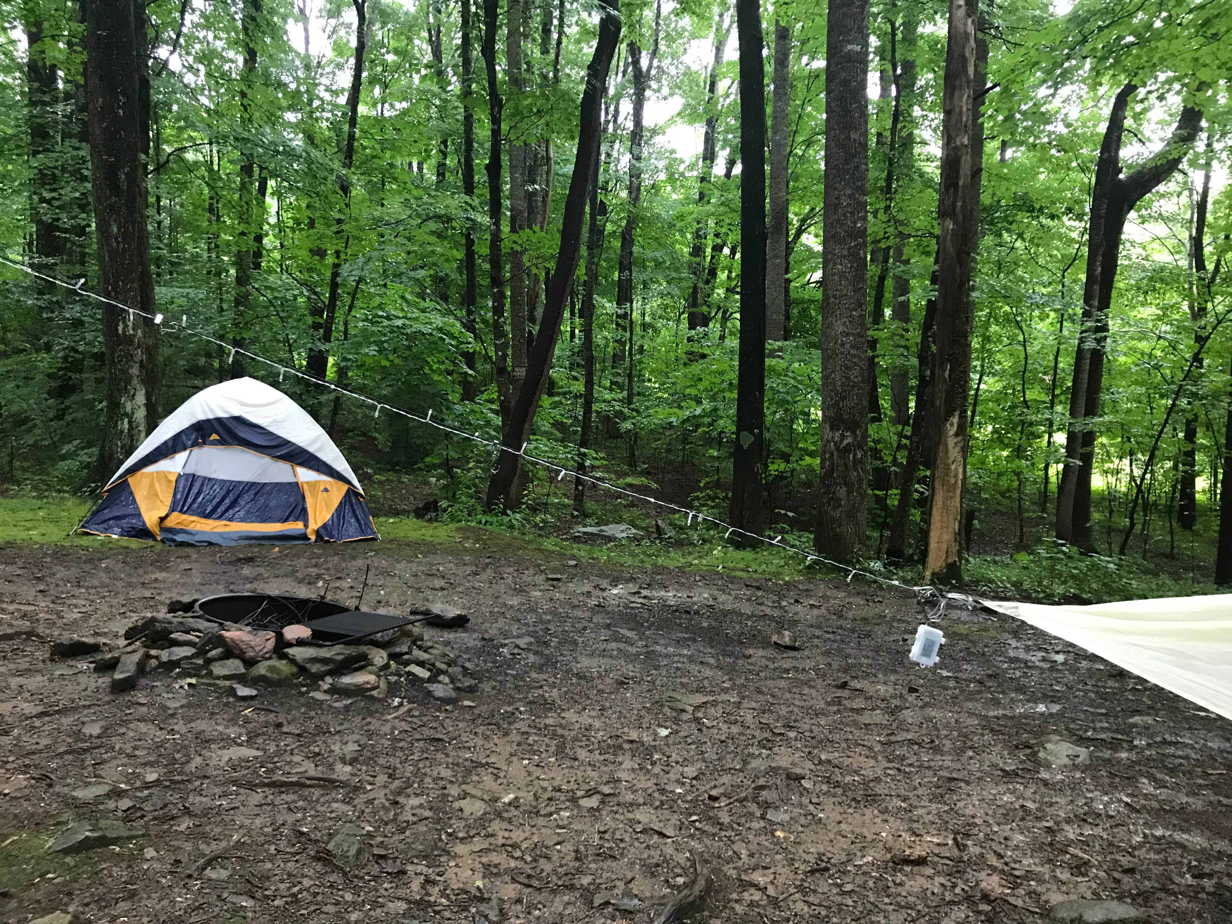 Nicole L.'s photo at Grandfather Campground near Newland, NC