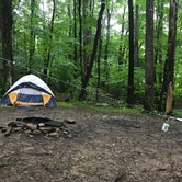 Review photo of Grandfather Campground by Nicole L., August 5, 2019