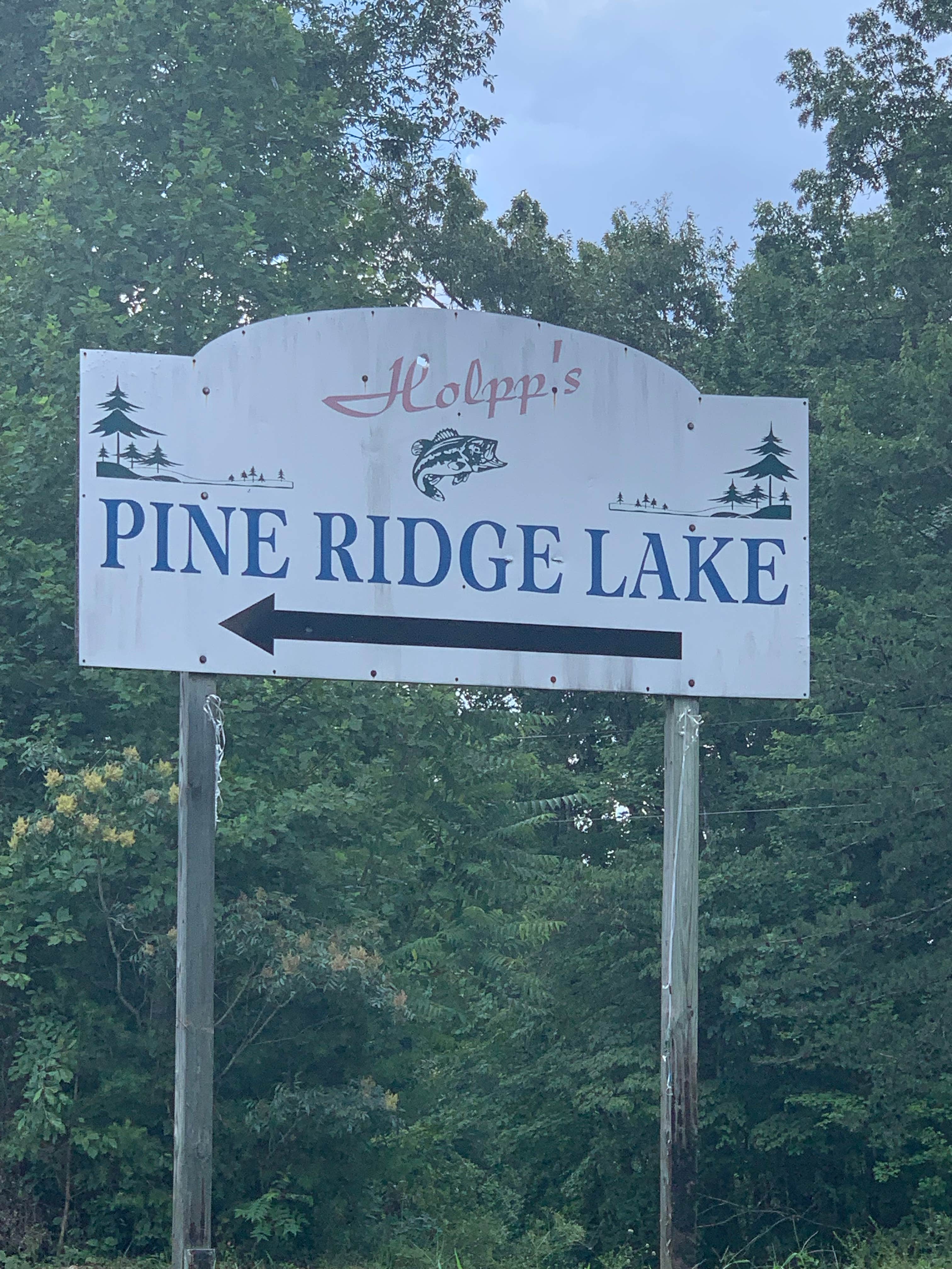 Camper submitted image from Holpps Pine Ridge Lake Campground - 5