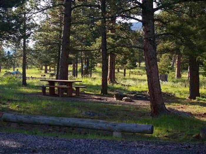 Camper submitted image from Greens Lake - 1