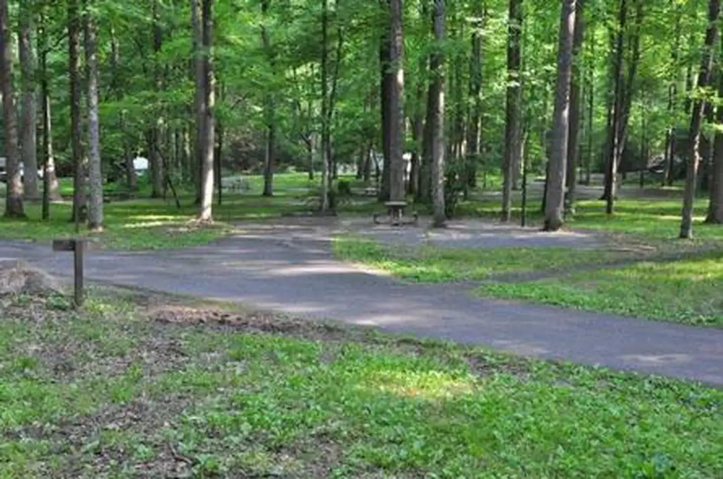 Camper-submitted photo at Elkmont Campground — Great Smoky Mountains National Park in Tennessee