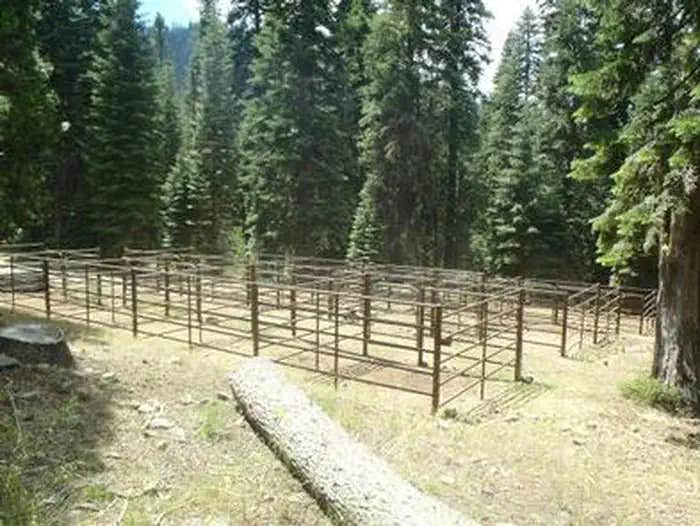 Camper submitted image from Carter Meadows Horse Campground - 1