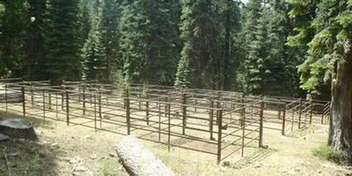 Camper submitted image from Carter Meadows Horse Campground