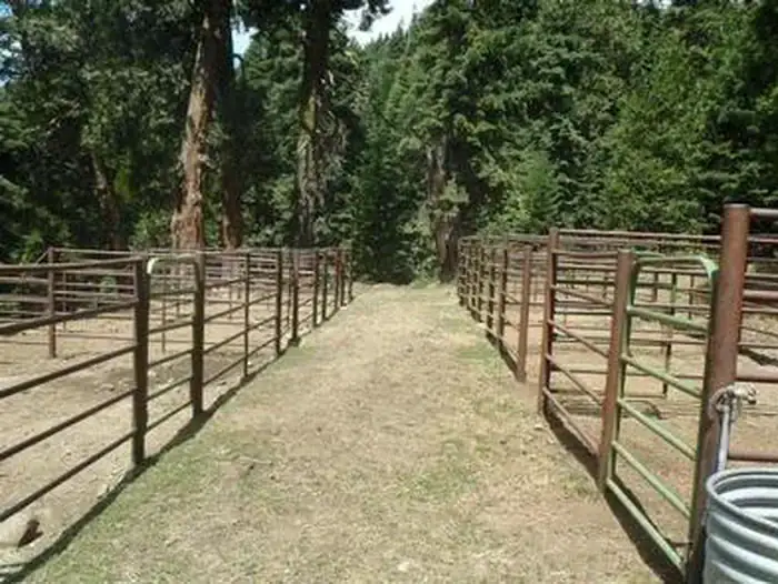 Camper-submitted photo at Carter Meadows Horse Campground near Mount Shasta, CA