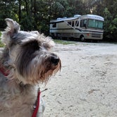 Review photo of O'Leno State Park Campground by SouthernGinger , August 5, 2019