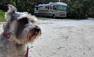 SouthernGinger's photo of camping with pets at Dogwood Campground — O'Leno State Park near Osceola National Forest