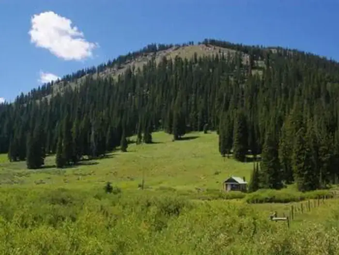 Camper-submitted photo at La Barge Guard Station near Daniel, WY