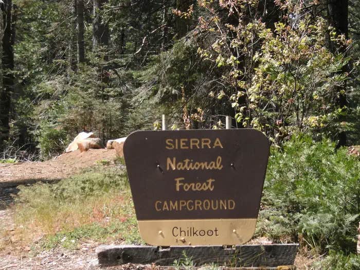 Camper submitted image from Chilkoot Campground - 1