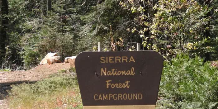 Camper submitted image from Chilkoot Campground