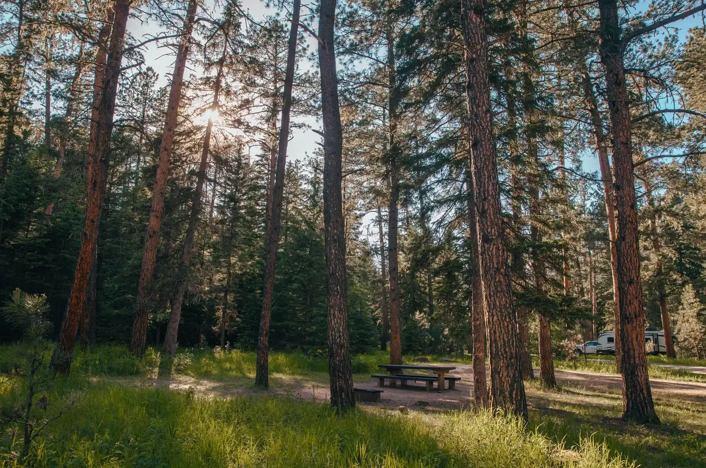 Camper-submitted photo at Boxelder Forks Campground — Black Hills National Forest near Blackhawk, SD