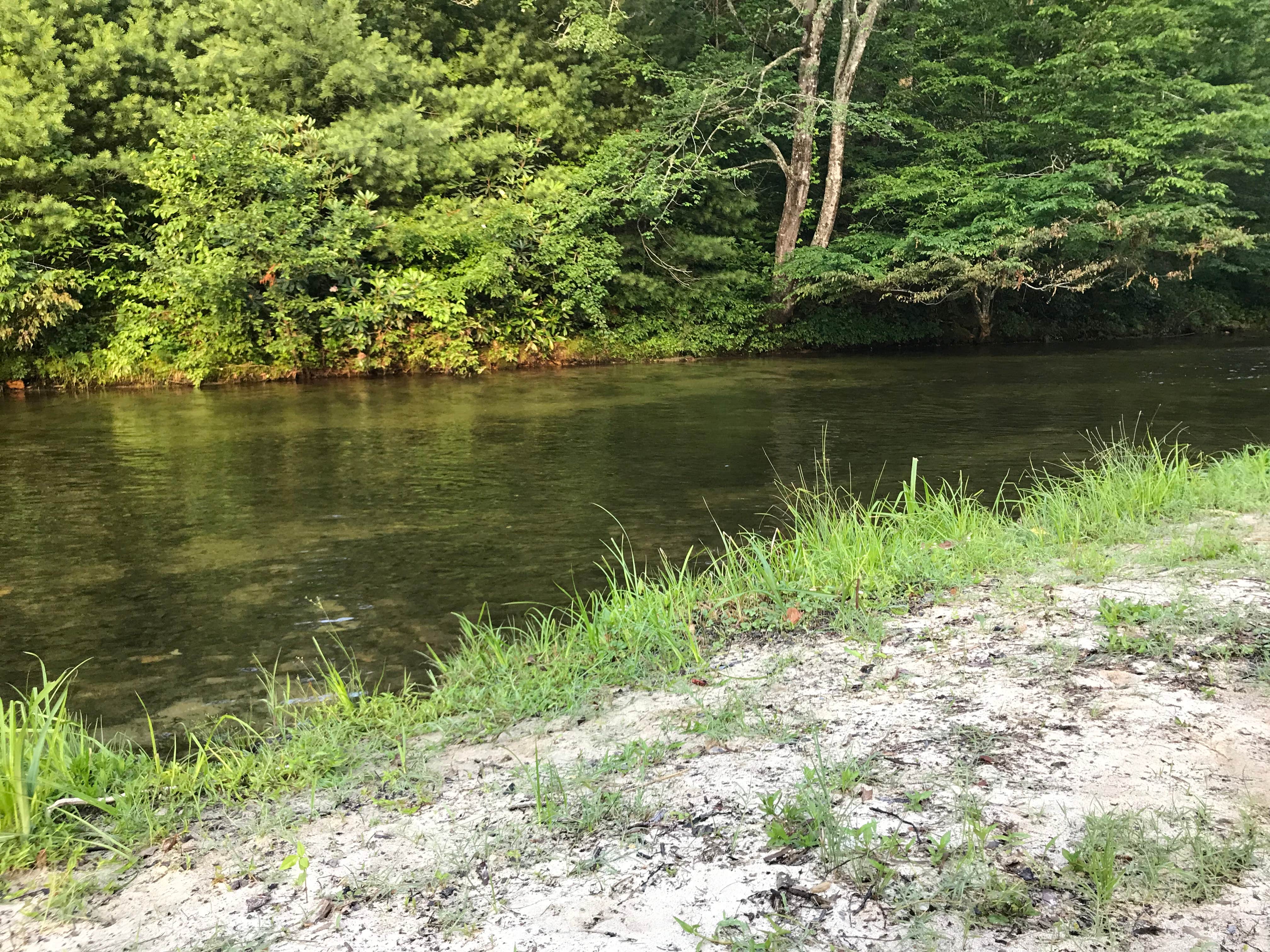 Camper submitted image from Steele Creek Park & Campground - 5