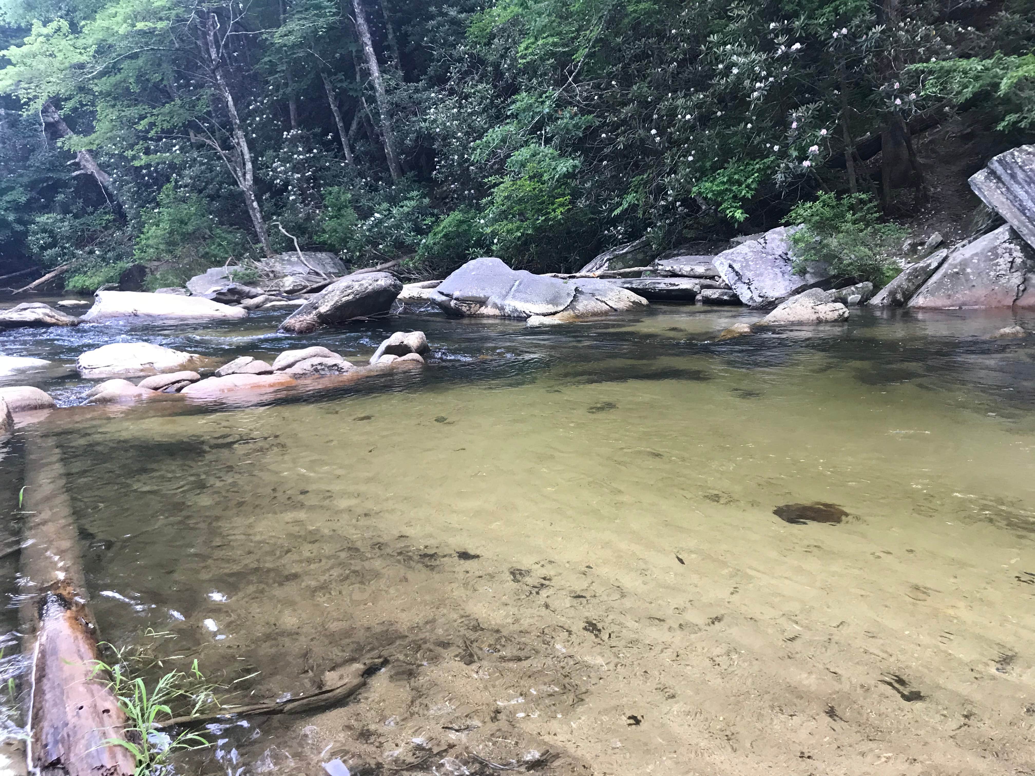 Camper-submitted photo at Steele Creek Park & Campground near Connelly Springs, NC