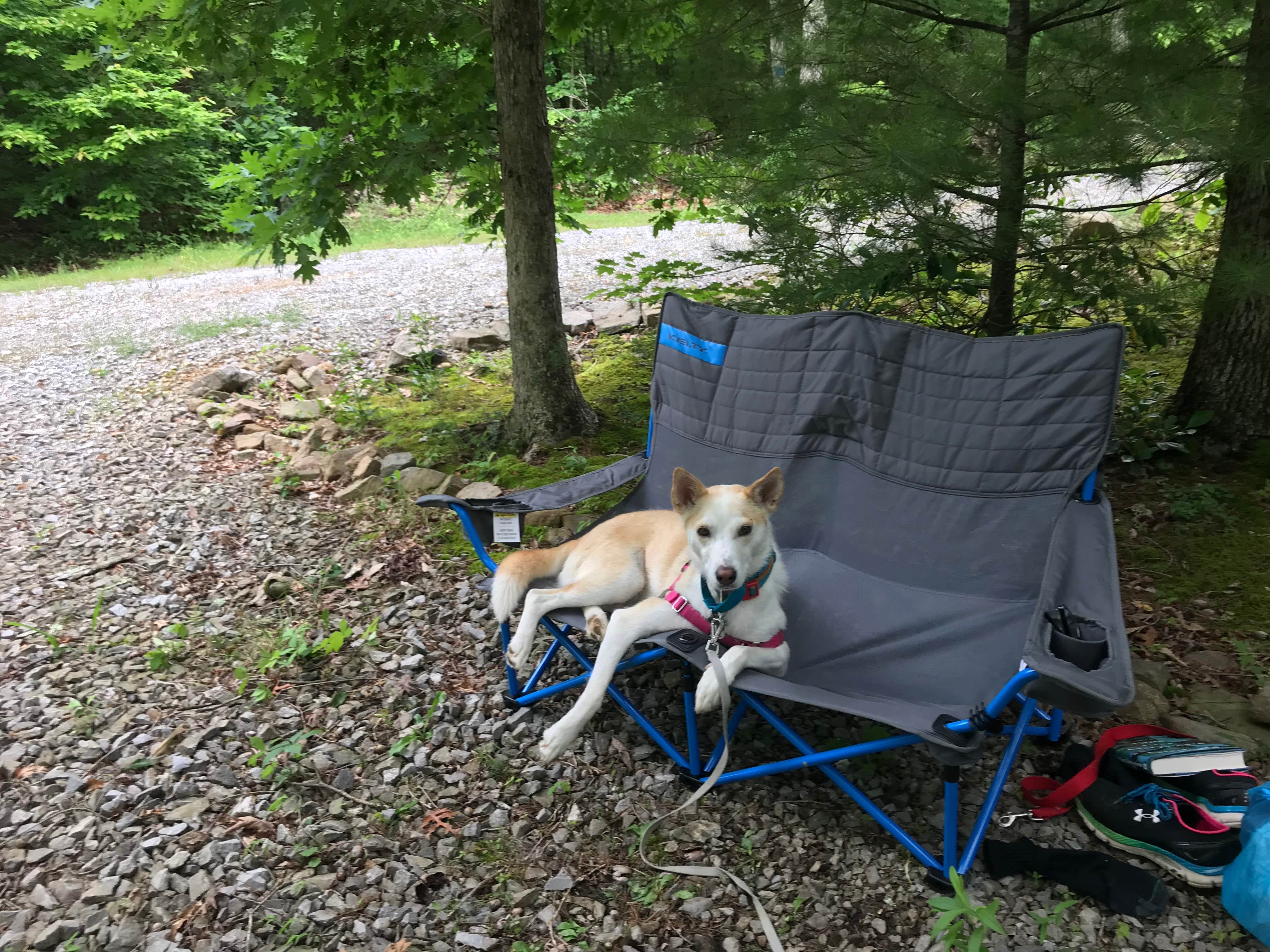 Camper-submitted photo at Old Mountain Campground near Cherokee National Forest