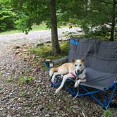 Review photo of Old Mountain Campground by Nicole L., August 5, 2019