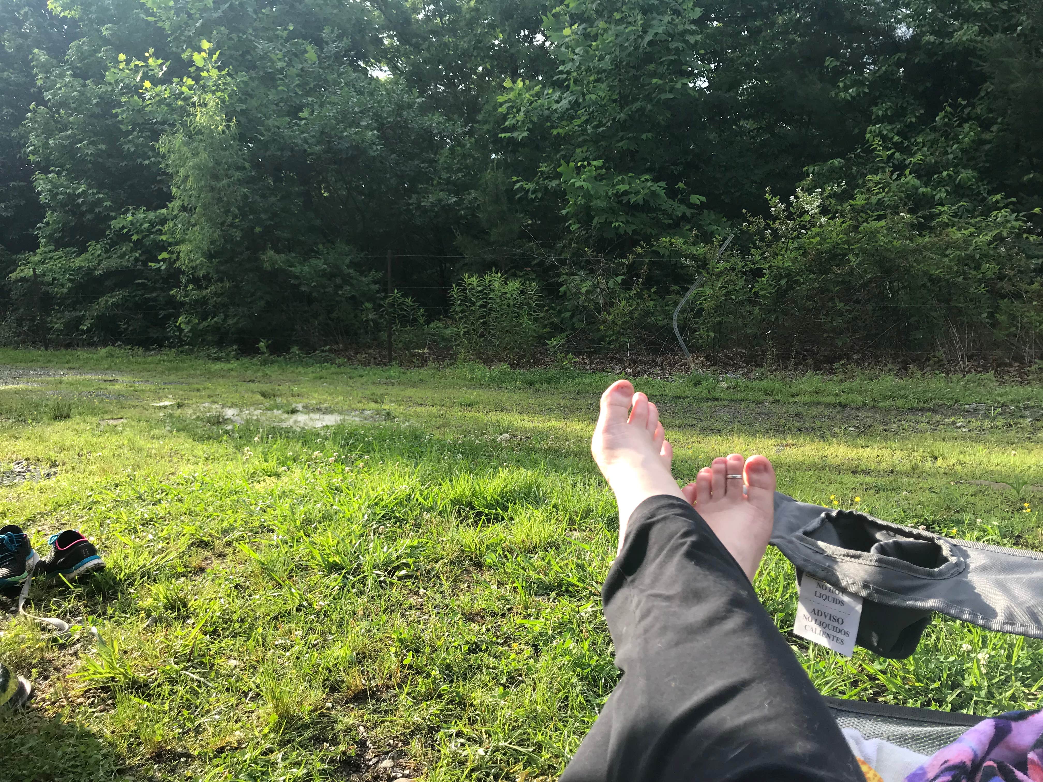 Camping near Davy Crockett Birthplace State Park Campground: Old Mountain Campground, Cherokee National Forest, Tennessee