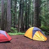 Review photo of Ohanapecosh Campground — Mount Rainier National Park by Tom K., August 5, 2019