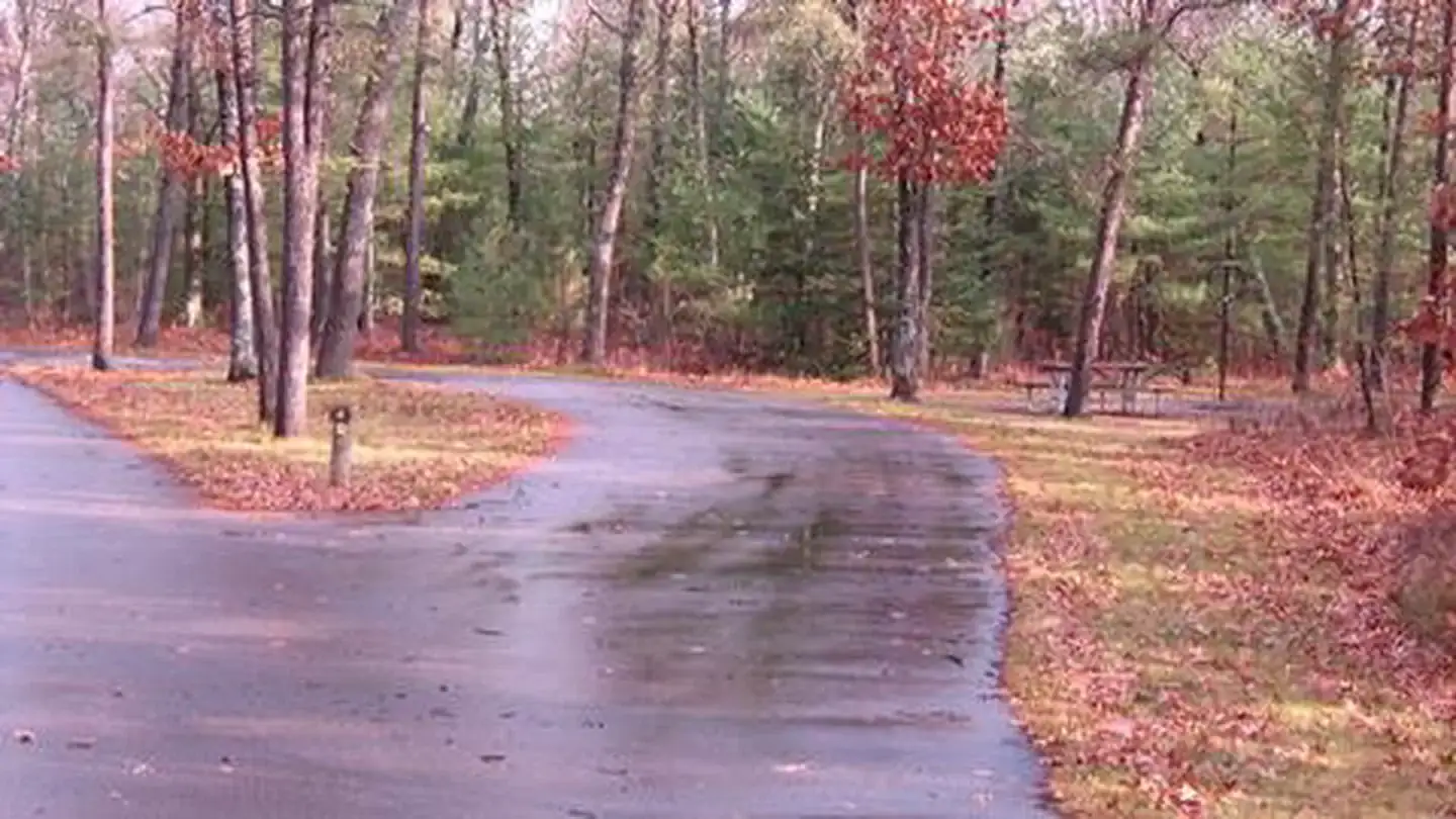 Camper-submitted photo at Rollways Campground near Lupton, MI