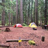 Review photo of Ohanapecosh Campground — Mount Rainier National Park by Tom K., August 5, 2019