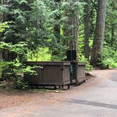 Review photo of Ohanapecosh Campground — Mount Rainier National Park by Tom K., August 5, 2019