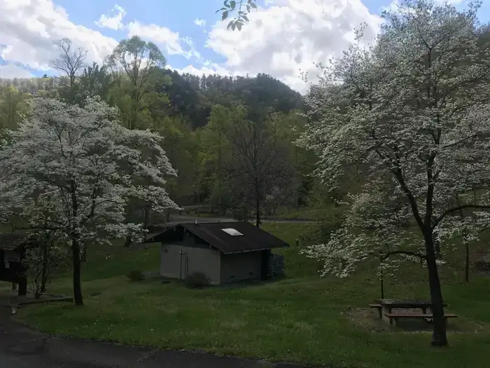 Camping near Hot Springs Campground: Rocky Bluff Campground — National Forests In North Carolina, Hot Springs, North Carolina