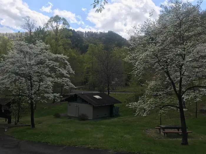 Camper submitted image from Rocky Bluff Campground — National Forests In North Carolina - 1