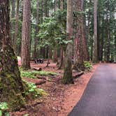 Review photo of Ohanapecosh Campground — Mount Rainier National Park by Tom K., August 5, 2019