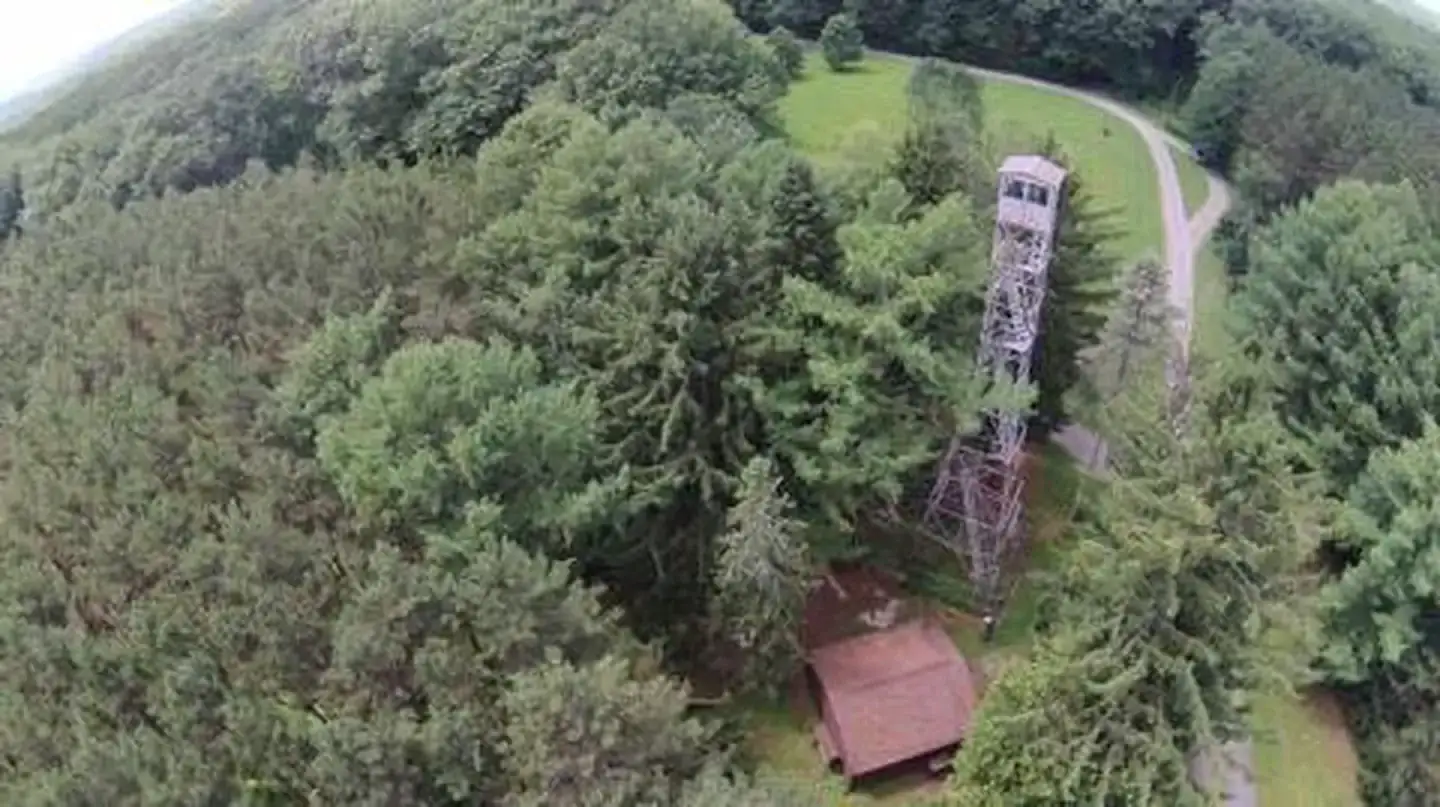 Camper-submitted photo at Hearts Content Recreation Area near Tidioute, PA