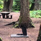 Review photo of Ohanapecosh Campground — Mount Rainier National Park by Tom K., August 5, 2019